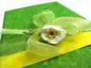 green present 2