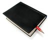 little black book 2