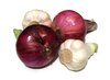 onions/garlic