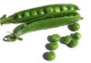 peas 2