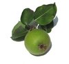 pears 1