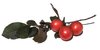 plums 2