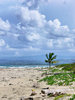 Windy Beach