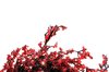 glittering