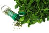 parsley2