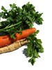 make a soup 2
