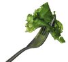 lettuce leaf 2