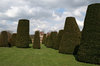 Topiary 1