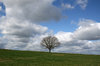 High Weald