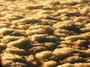 Cloudy Gruss