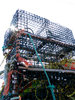 Lobster Traps
