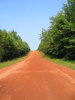 Long Road Ahead...