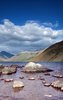 wastwater