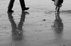 reflections at the beach