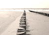 lines
