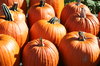 pumpkins