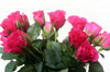 vase with roses