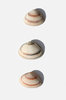 shells