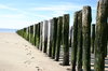 poles and footsteps