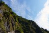 Even hill of trees