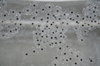 frog spawn