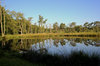 Hdr Nature landscape