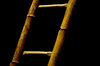Bamboo ladder