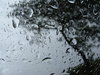 Raindrops