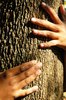 Save trees