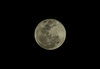 Full moon