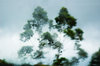 Monsoon blurs