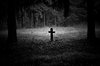 Cemetary of the insane
