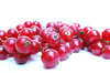 Red berries.