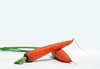 Carrot serie # 2
