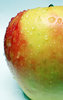 Apple serie # 1