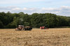 Harvest