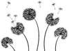 Dandelions