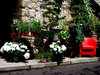 Street garden