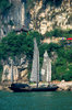 sailing junk