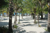 Roatan beach