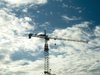 crane