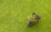 Wheelbarrow and grass