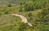 Dirt road in the woods