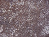 Fresh ground texture