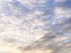 Gray sky