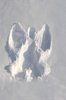 Snow angel