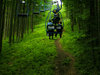 Cable Railway in deep pine for