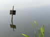 A tablet in a lake