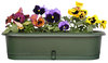 A flowerpot with pansies