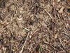 Ground texture